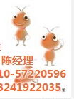 虫害消杀服务,灭蟑螂服务,灭鼠服务,灭蚂蚁服务,灭臭虫服务,优惠价格