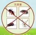正定县翠屏山迎宾馆有害生物控制蚊蝇蟑 专业灭蟑