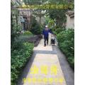 深圳市永基虫害防治品牌 2018年杀白蚁,深圳杀虫最新价格