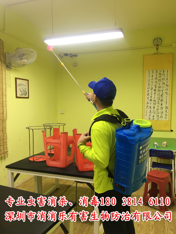 深圳消消乐专业社区四害消杀除虫灭鼠——壹佰业虫害消杀服务全解析