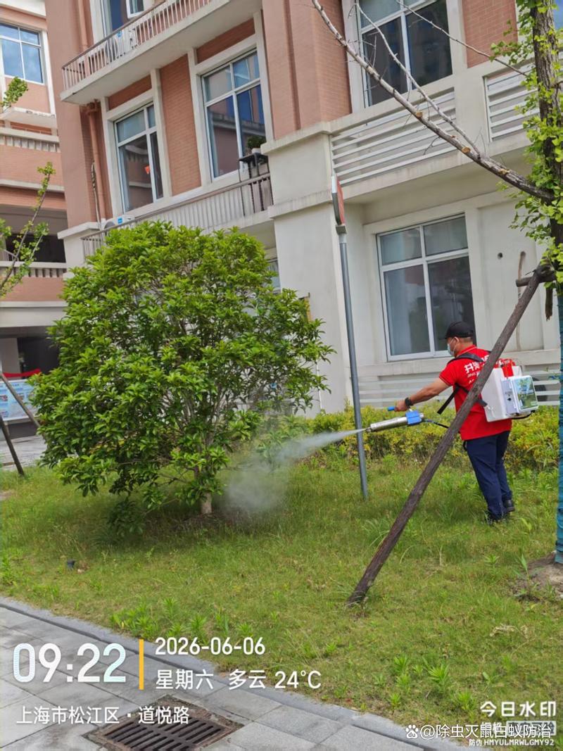 上海专业虫害消杀防治服务 除四害、灭鼠害，全市上门守护健康家园